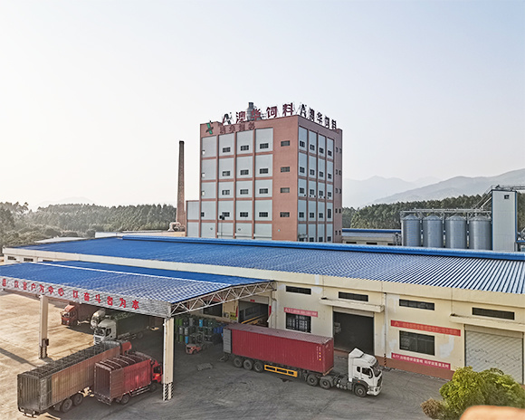 福建澳华