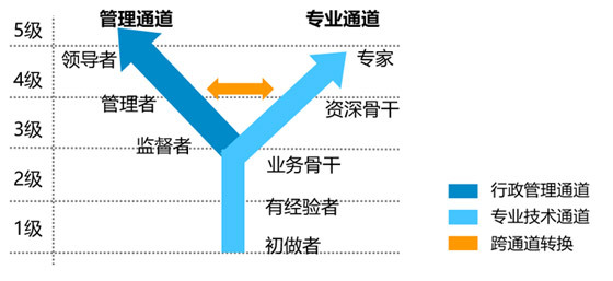 职业发展通道里程碑设置